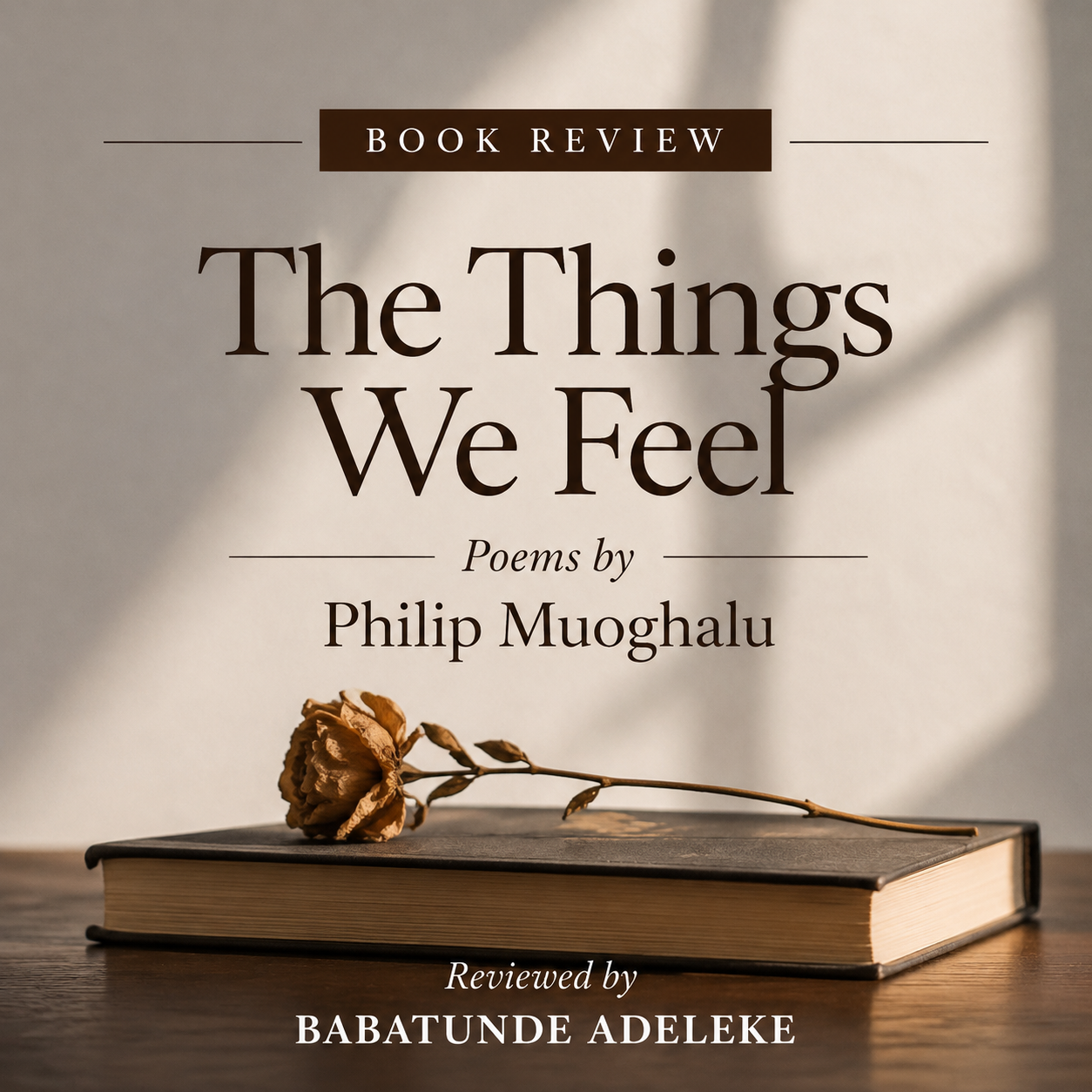 Babatunde Adeleke's Review of The Things We Feel